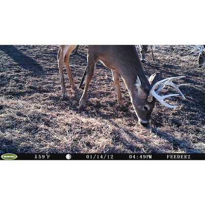 Moultrie I-35 4.0MP 50-Foot Game Trail Camera, 10 Pack (Certified Refurbished)