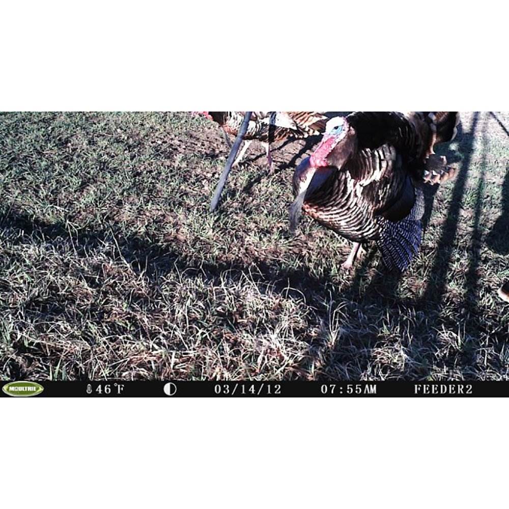 Moultrie I-35 4.0MP 50-Foot Game Trail Camera, 10 Pack (Certified Refurbished)