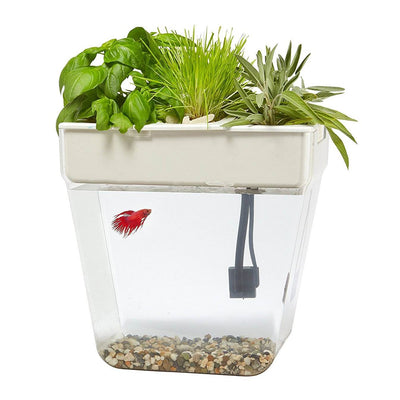 3 Gal. Self-Cleaning Aquaponic Water Garden Fish Tank Aquarium (Open Box)