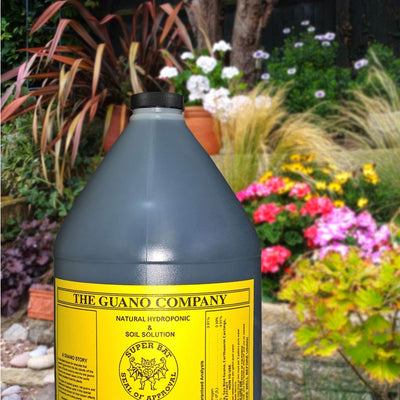 Hydrofarm GUBS128 Super Bat Budswel Organic Hydroponic Soil Nutrient, 1 Gallon