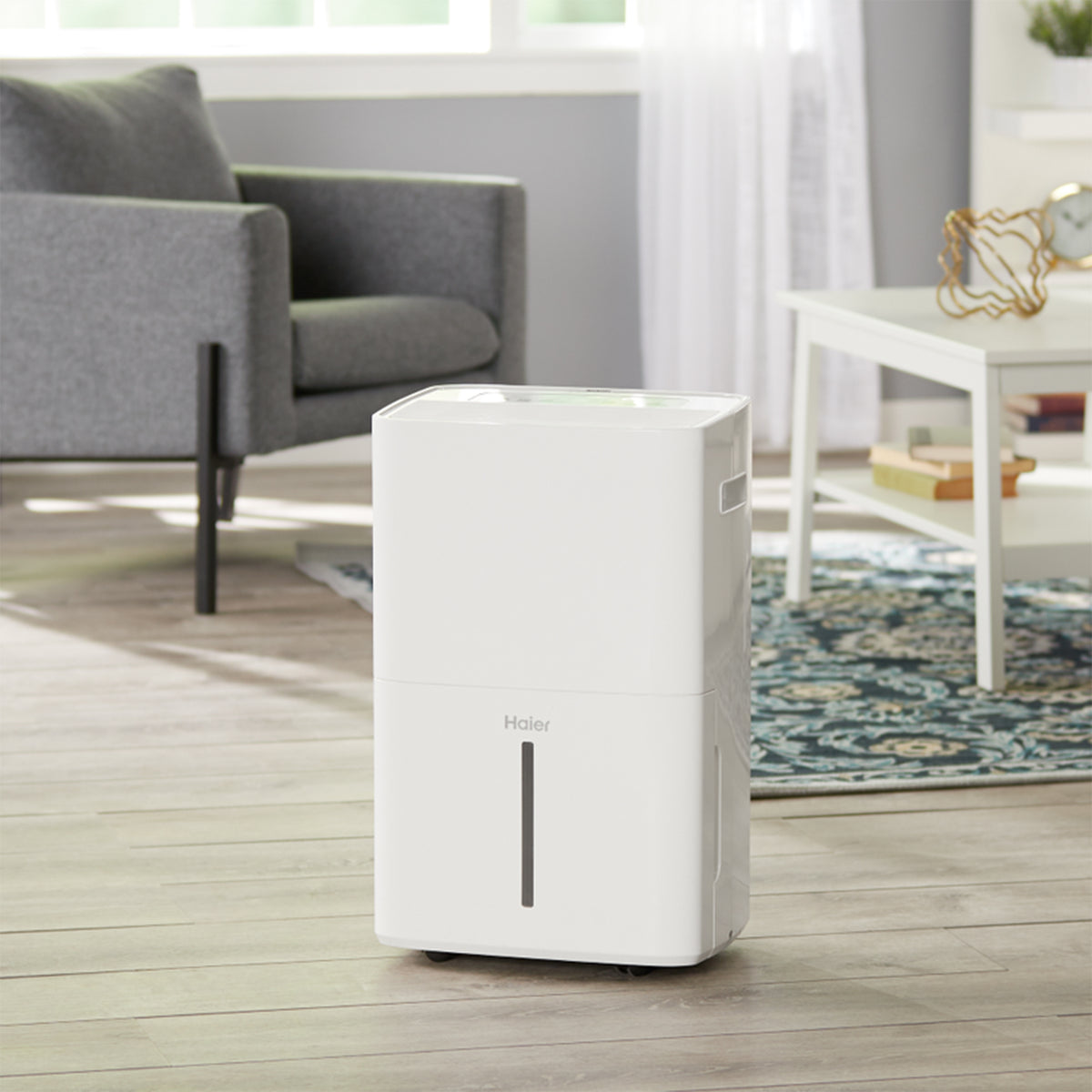 Haier Energy Star 70-Pint 2 Speed 1500 SF Digital Low Temp Dehumidifier | Used