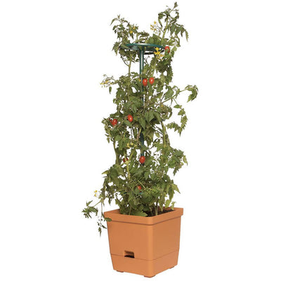 Hydrofarm Self Watering Tomato Planter with 3 Foot Sturdy Frame Tower (Open Box)