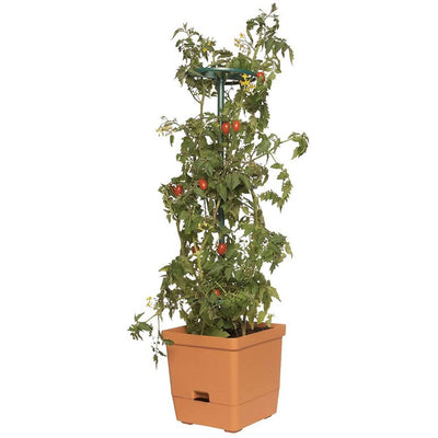 Hydrofarm GCTT Self Watering Tomato Treillis Tree Planter Garden Grow System (2) - VMInnovations