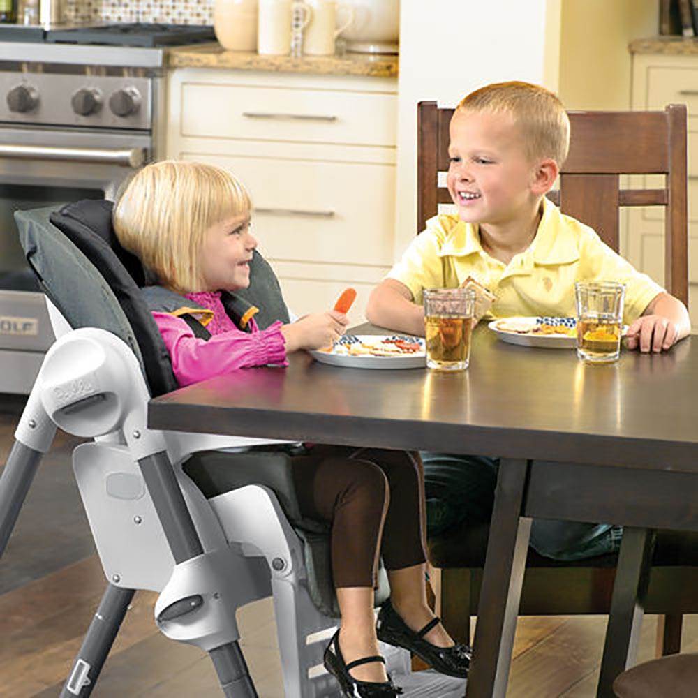 Chicco Ultra-Slim Folding Single Pad Reclining Polly Highchair, Orion (Open Box)