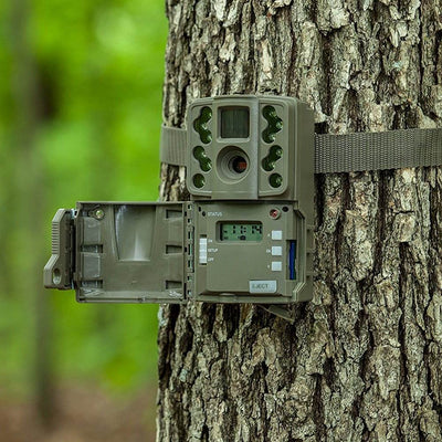 Moultrie A20 12MP Long Range Low Glo Infrared Hunting Game Trail Camera, 10 Pack