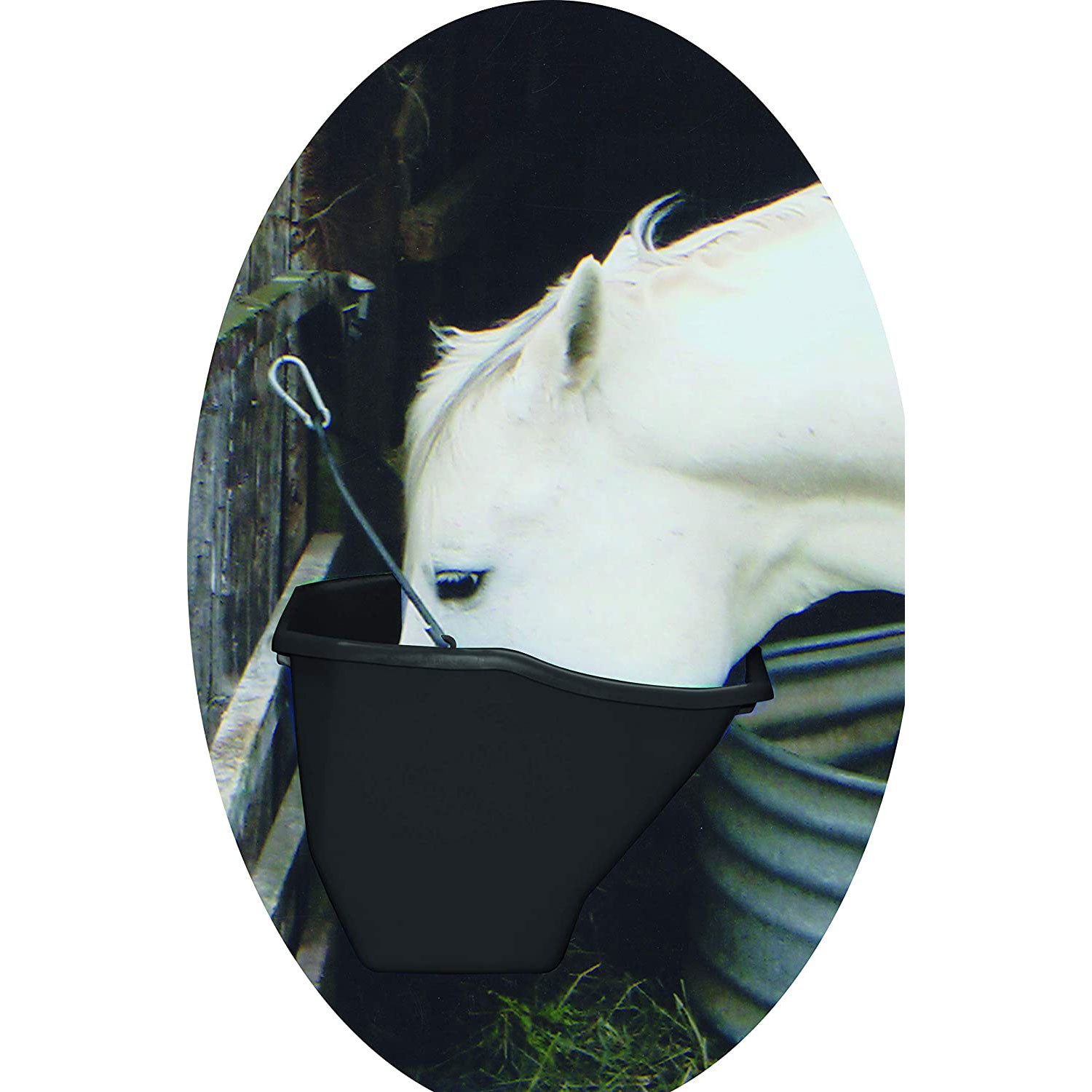 Little Giant 20-Qt Durable Plastic Flat Back Livestock Feed Bucket, Black (Used) - VMInnovations