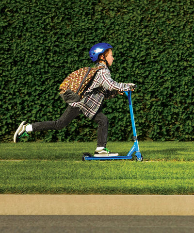 Razor Pro Beast Deluxe Model 19-Inch Deck Aluminum Push Kick Scooter, Blue - VMInnovations