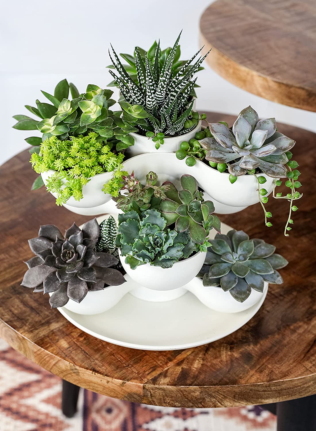 The HC Companies 8" Pixie Indoor Stacking Succulent Planter Pot, Artisan Taupe