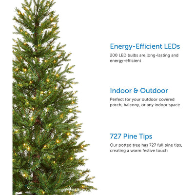 NOMA 5-Ft Arctic Spruce Artificial Warm White LED Pre-Lit Potted Christmas Tree