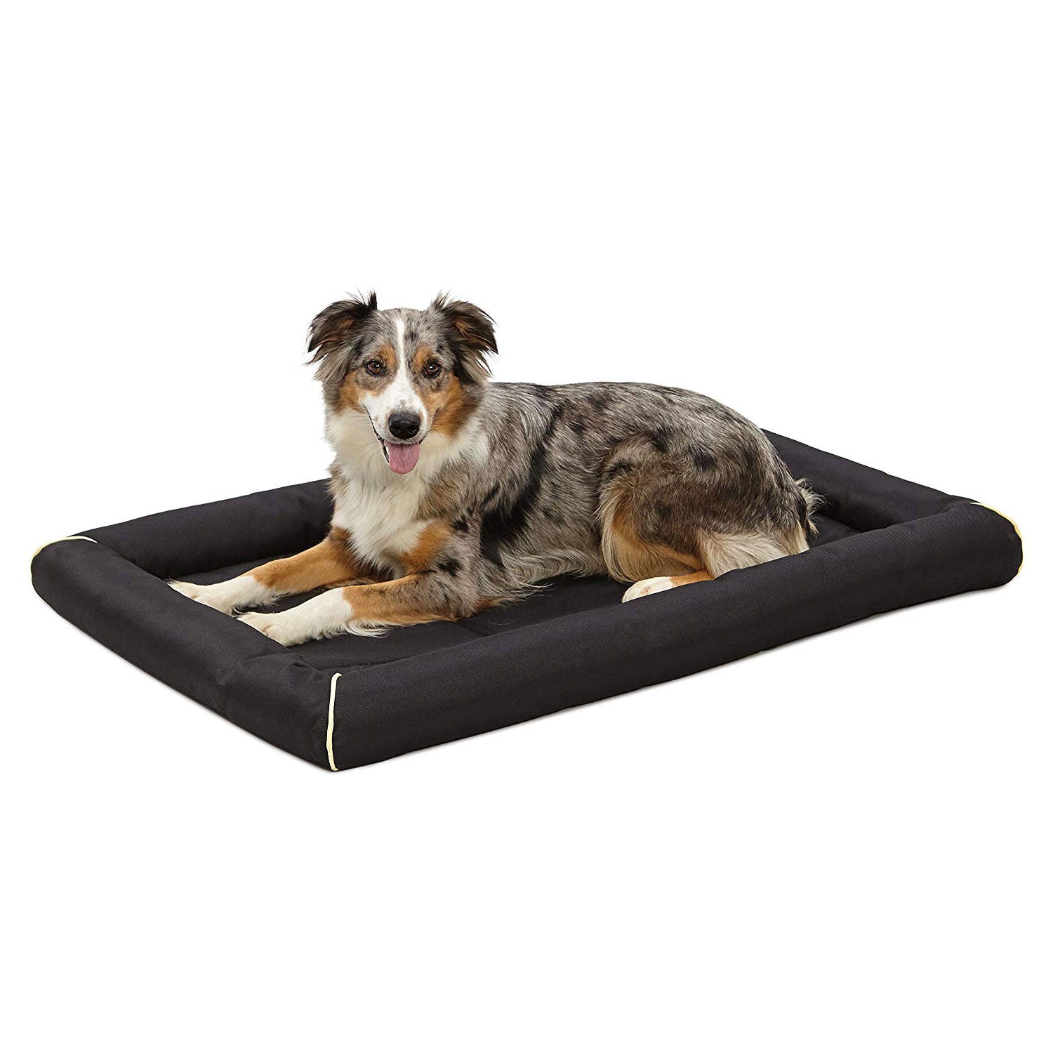 MidWest Homes for Pets QuietTime Maxx Stain Resistant 42 in Large Dog Bed, Black