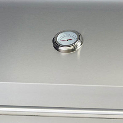 Bull Outdoor Products Liquid Propane Outlaw Drop-In Steel Barbecue Grill Head - VMInnovations