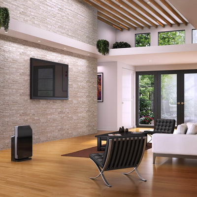Brondell O2+ Balance 3 Stage Carbon Filtration True Hepa Air Purifier, Black
