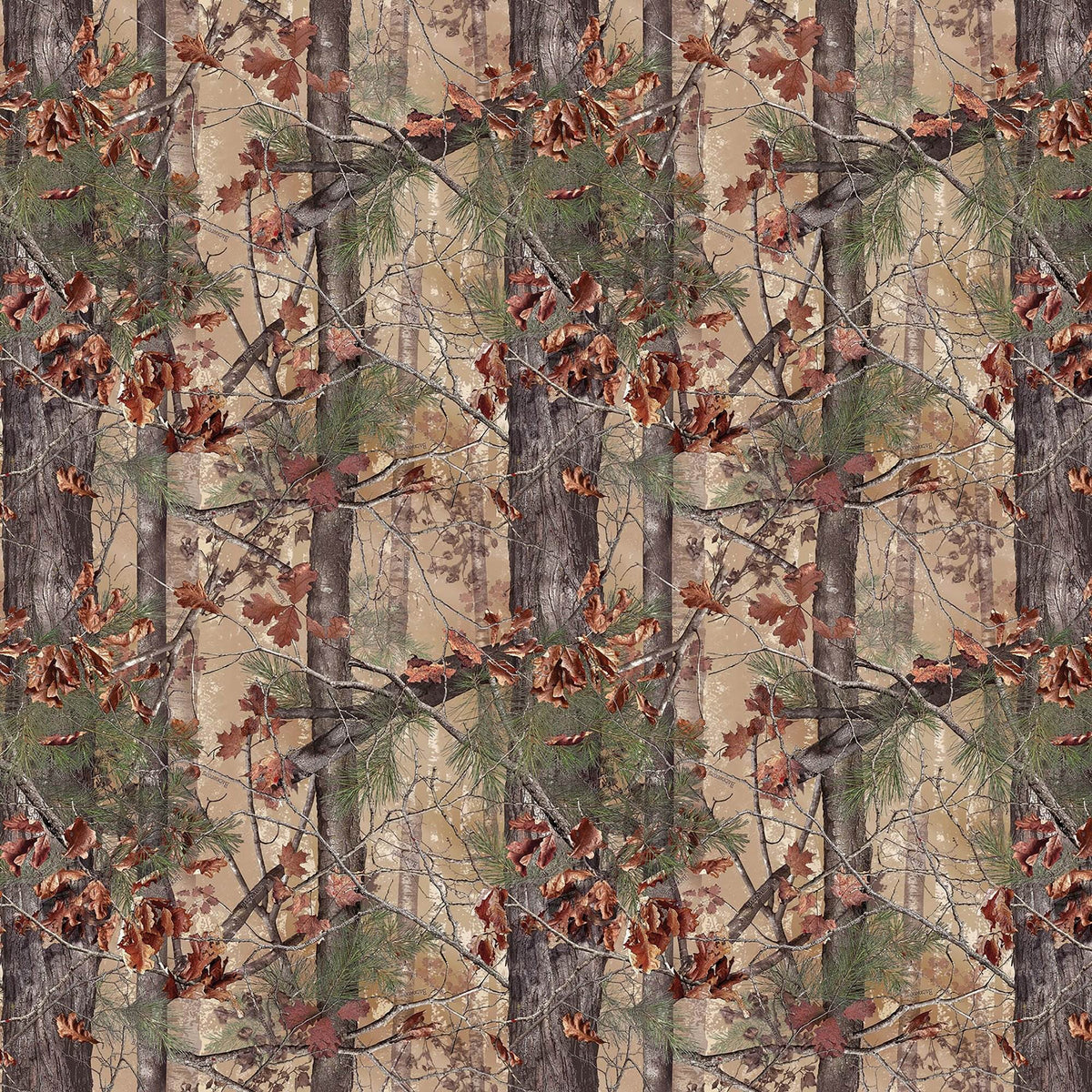 Barronett Blinds Pentagon Pop-Up Large Ground Deer Hunting Blind, Backwoods Camo (Refurbished)
