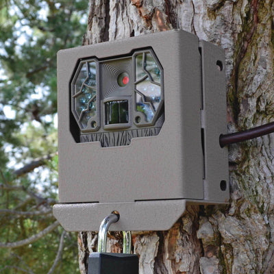 Stealth Cam Z36 No Glo 60' 10MP Game Camera, 2 Pack w/ Security Boxes & SD Cards