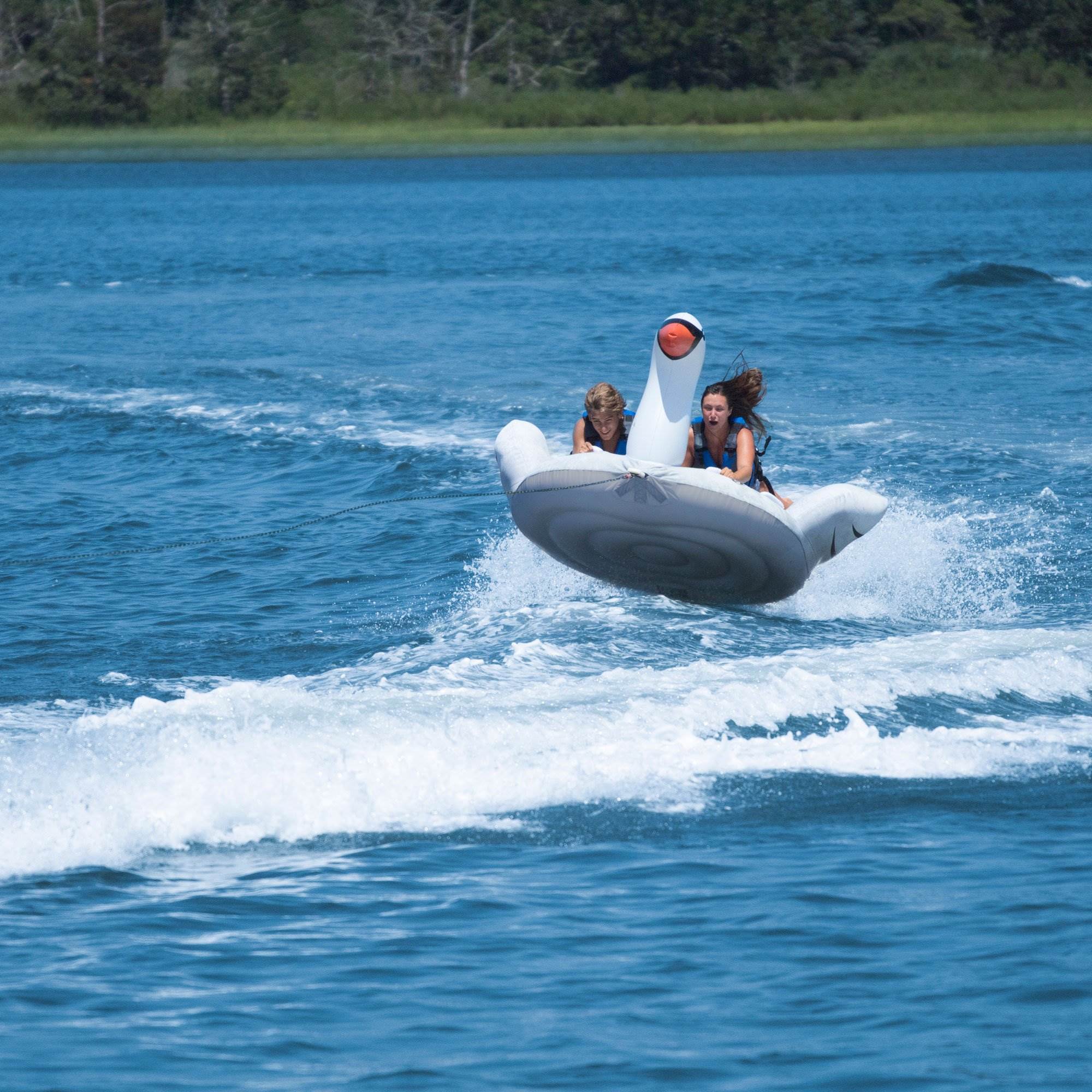 Swimline Solstice Water Sport Inflatable Swan 1 to 2 Rider Boat Towable Tube - VMInnovations