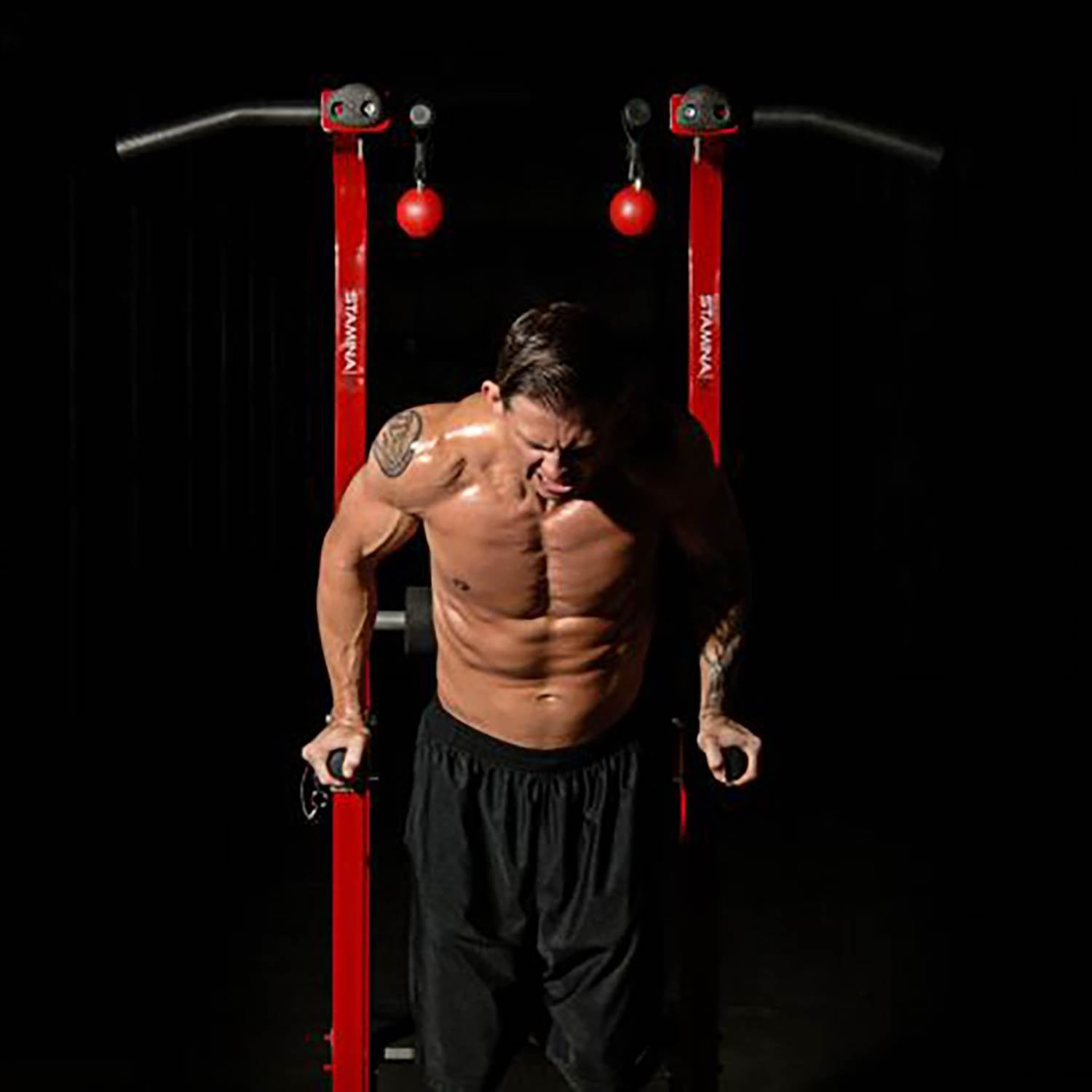 Stamina X Fortress Power Tower Home Gym Pull Up Fitness Workout Station, Red - VMInnovations