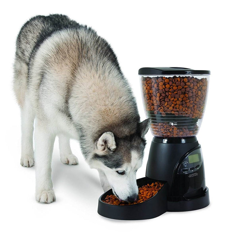 Aspen Pet Lebistro Cat Dog Programmable Automatic Food Dispenser Bowl Feeder