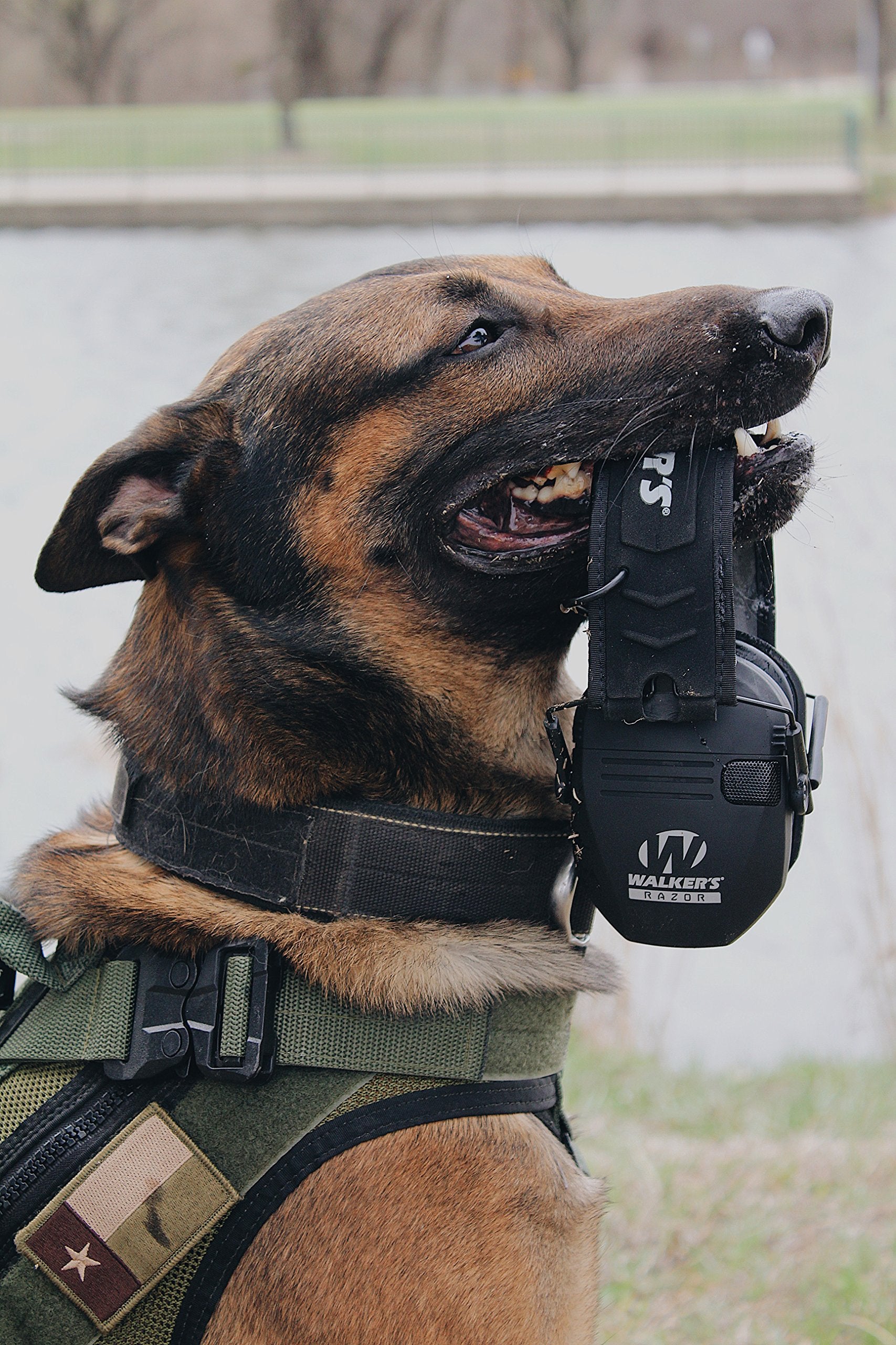 Walkers Razor Slim Shooting Ear Protection Muffs (2 Pack) - VMInnovations