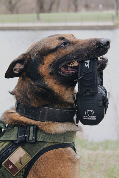 Walkers Razor Slim Shooting Ear Protection Muffs (2 Pack) - VMInnovations