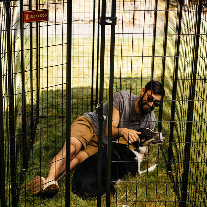 Lucky Dog Uptown Large Outdoor Covered Kennel Secure Fenced Pet Dog Crate, Black - VMInnovations