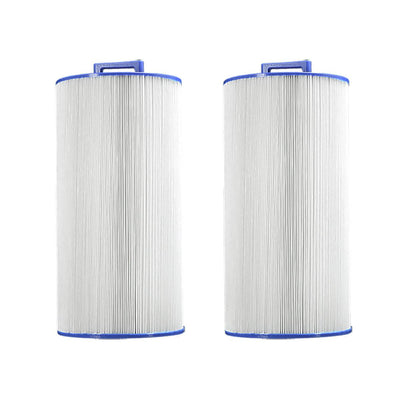 Pleatco PCD100W Pool & Spa Replacement Filter Cartridge for Caldera 100 (2 Pack)