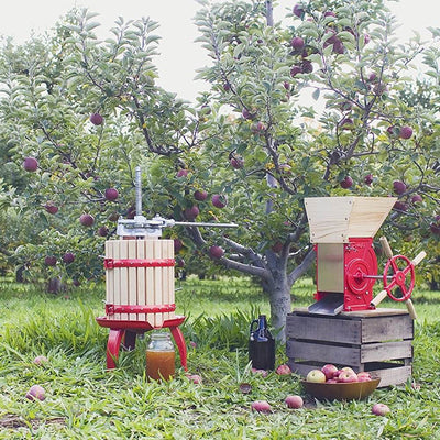 Weston Cast Iron Ratchet System and Wooden Cage Home Fruit Juice and Wine Press