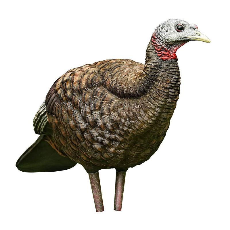 Avian-X Breeder Lifelike Collapsible Decoy LCD Folding Hen Turkey Hunting Decoy