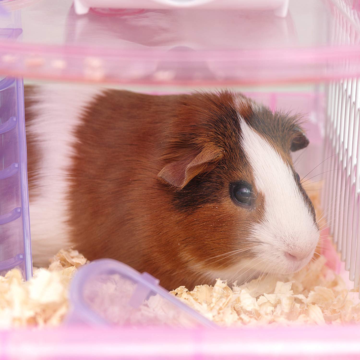 IRIS USA 2-Level See-Through Plastic Hamster Cage with Wheel, Trans Pink (Used)