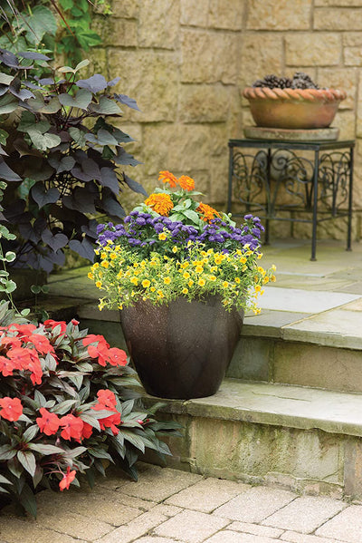 Suncast Seneca 16" Diameter Ombre Planter Flower Pot, Bronze/Brown (Used)