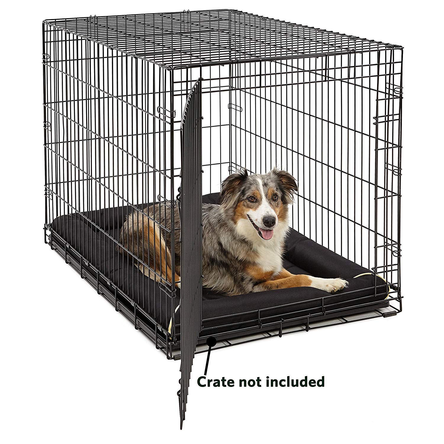 MidWest Homes for Pets QuietTime Maxx Stain Resistant 42 in Large Dog Bed, Black
