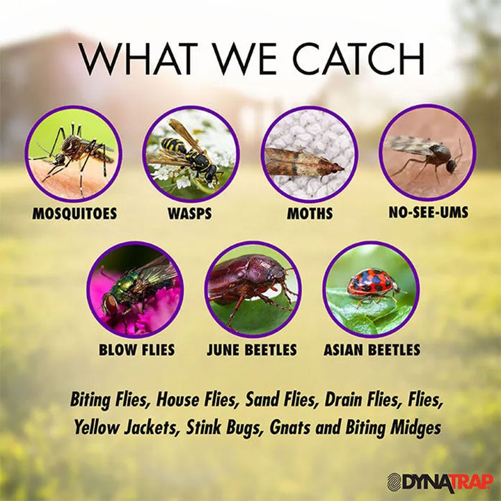 Dynatrap 1/2 Acre Camping Mosquito Insect Deterrent Shield Trap (Open Box) - VMInnovations