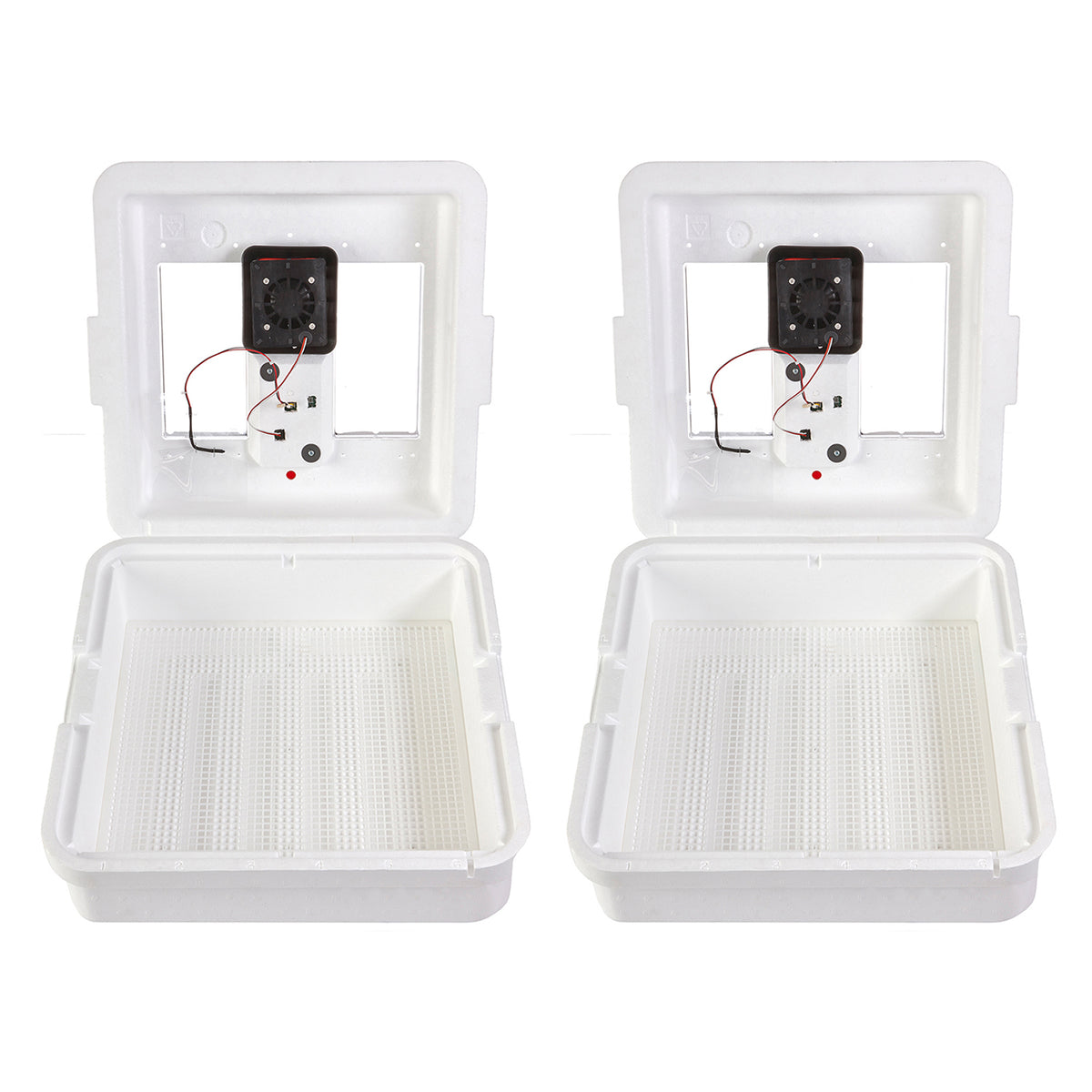 Little Giant 9300 Digital Still Air Incubator w/ LCD Display, 41 Eggs (2 Pack)