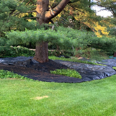 DeWitt P6 6x250' 5 oz. Pro 5 Commercial Landscape Weed Barrier Fabric (Open Box)