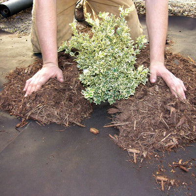 DeWitt Weed Barrier Pro Landscape Fabric in Brown (3 Ounces), 3' x 100' Refill - VMInnovations
