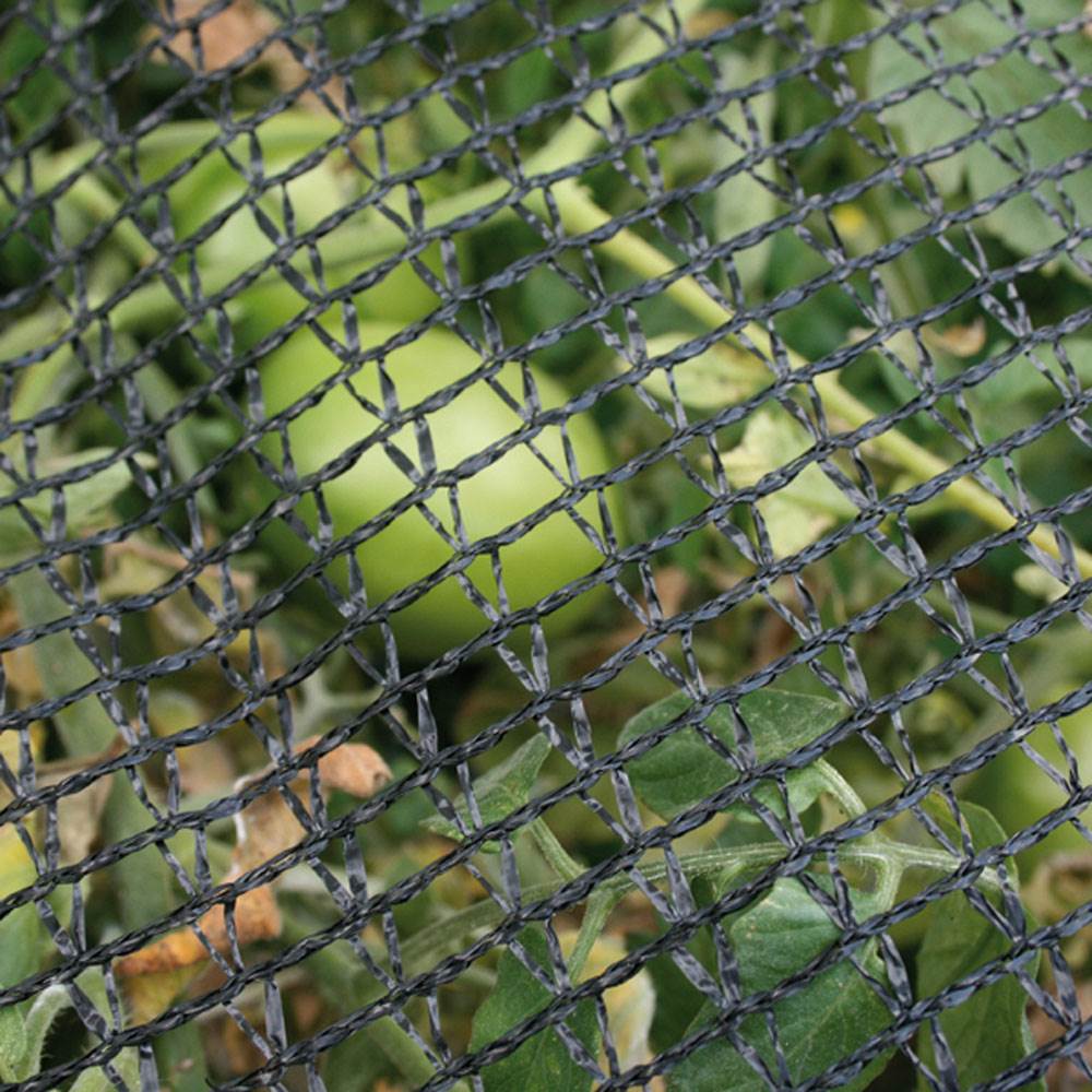 DeWitt 14 x 14 Foot Home & Garden Bird Barricade Plant Protector Deluxe Netting - VMInnovations