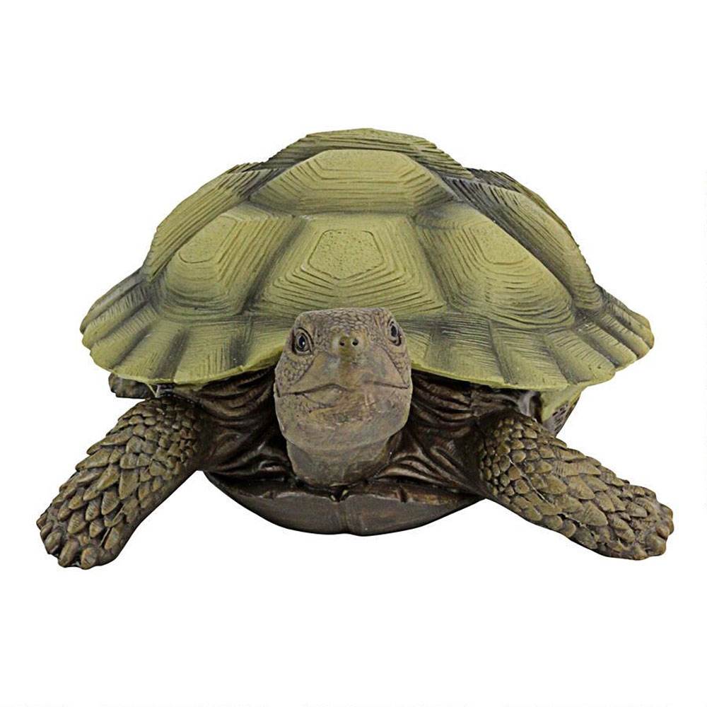 Design Toscano QM1887611 Lawn and Garden Resin Gilbert the Box Turtle (Open Box) - VMInnovations