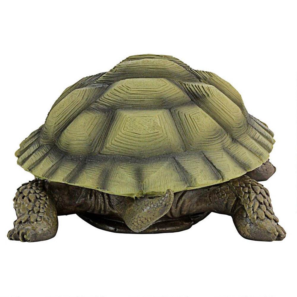 Design Toscano QM1887611 Lawn and Garden Resin Gilbert the Box Turtle (Open Box) - VMInnovations