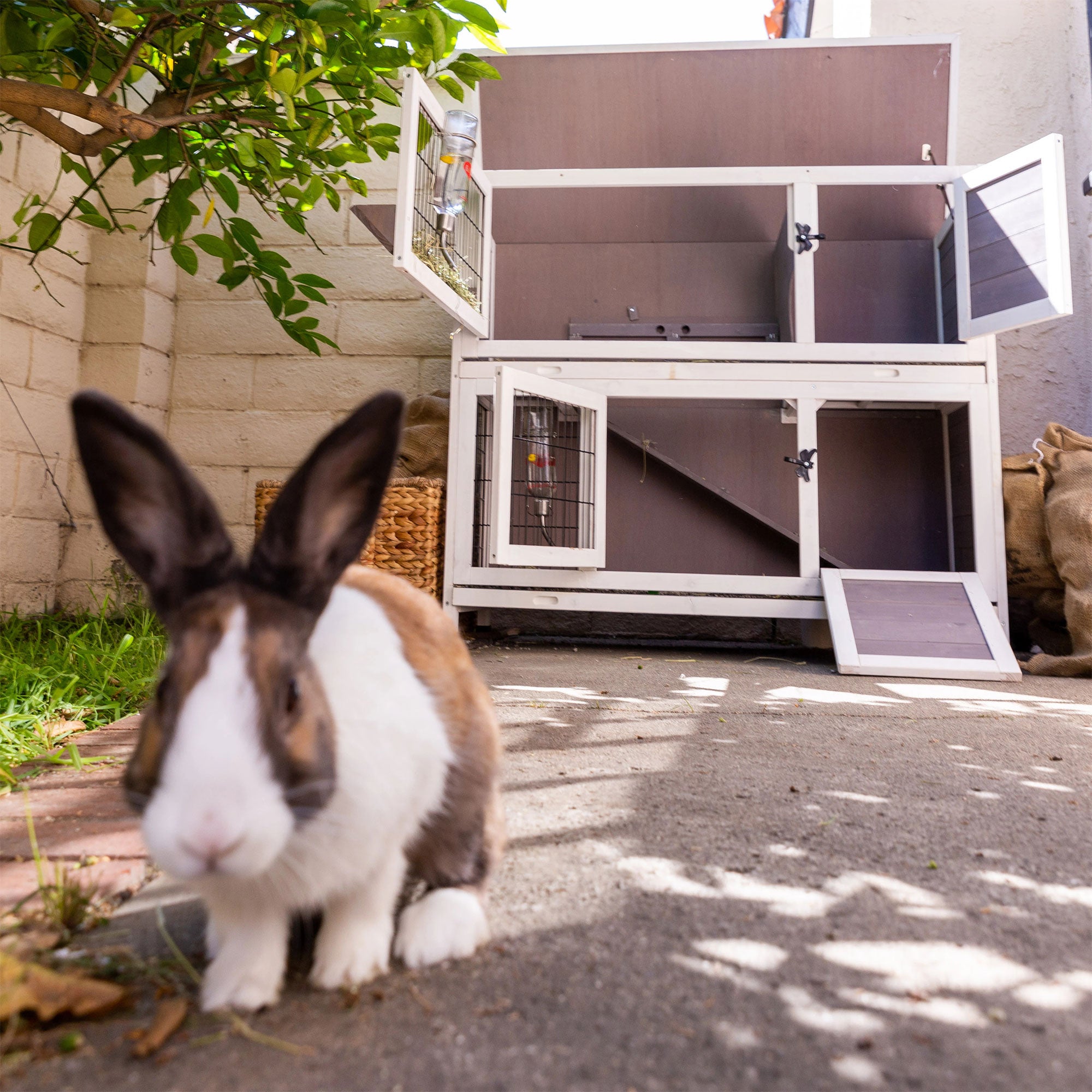 Indoor Outdoor Pet Bunny Hutch House Cage for Rabbits and Guinea Pigs, White (Refurbished)