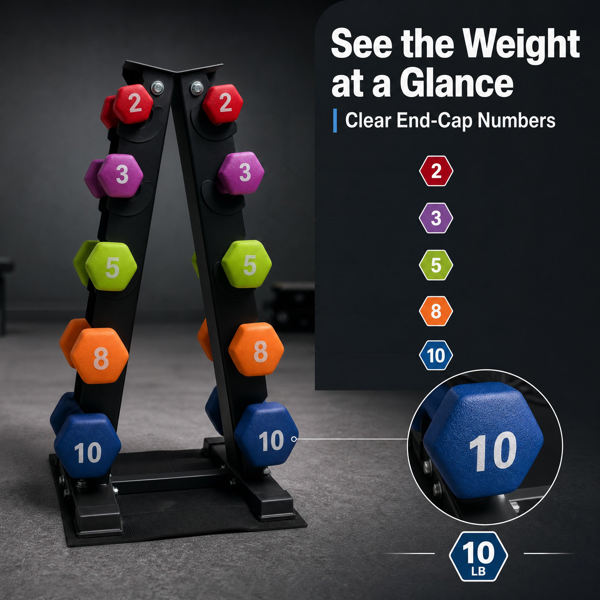 Aurorafy Neoprene Dumbbell Workout Set w/ Rack, 2, 3, 5, 8, & 10lbs, Multicolor