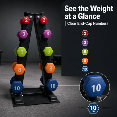 Aurorafy Neoprene Dumbbell Workout Set w/ Rack, 2, 3, 5, 8, & 10lbs, Multicolor