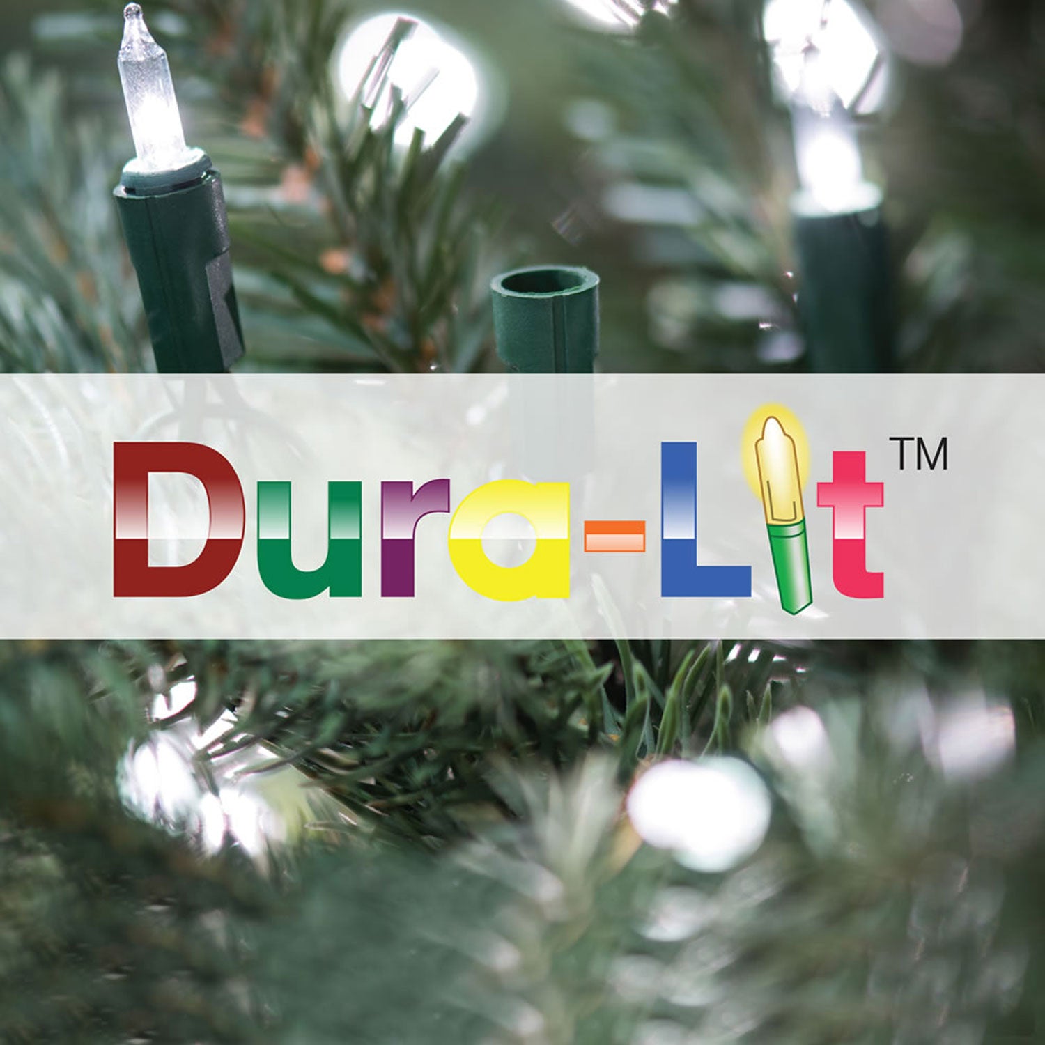 Vickerman Salem Pencil Pine 5.5 Foot Artificial Pre-Lit Christmas Tree, White