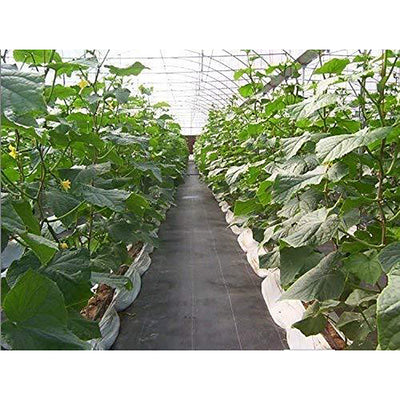 Agfabric 3oz Woven Weed Barrier Landscape Fabric, 3x100 Foot, Black (Open Box)