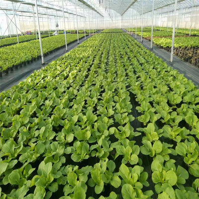Agfabric 3oz Woven Weed Barrier Landscape Fabric, 3x100 Foot, Black (Open Box)