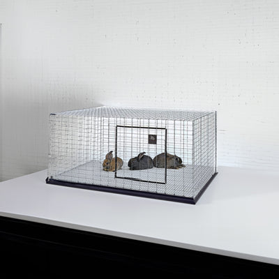 Little Giant Wire Rabbit Hutch Pet Lodge w/Galvanized Body&Door Guards(Open Box)