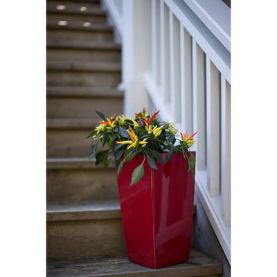 Algreen Modena 22" Inside/Outside Self-Watering Square Planter Pot w/Wheels, Red - VMInnovations