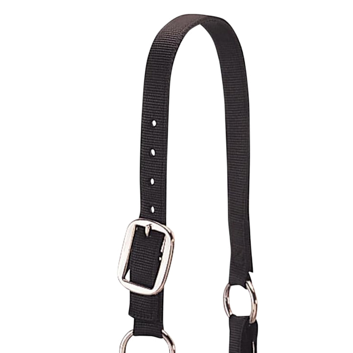 Weaver Leather Medium Cattle Halter with Double Stitched Nylon and Chin Choker