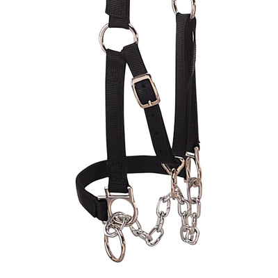 Weaver Leather Medium Cattle Halter with Double Stitched Nylon and Chin Choker - VMInnovations