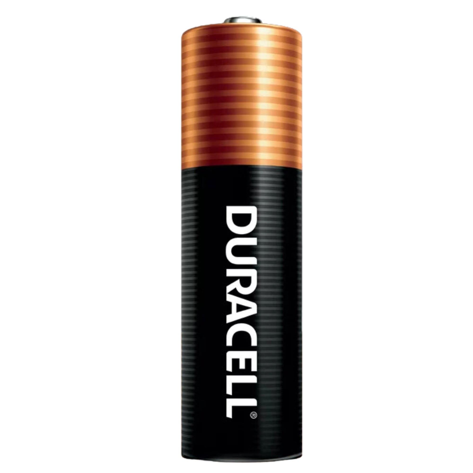 DURACELL Duralock AA 1.5 Volt Alkaline Battery Packs to Charge Items (100 Pack) - VMInnovations