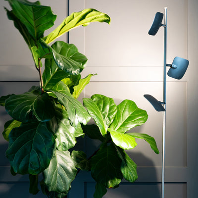 Brightech Tree LED Spotlight Bright 3 Light Floor Lamp Pole, Silver (Open Box)