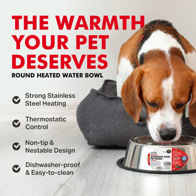 API 5qt Stainless Steel Thermostatically Controlled Heated Pet Bowl (Open Box) - VMInnovations
